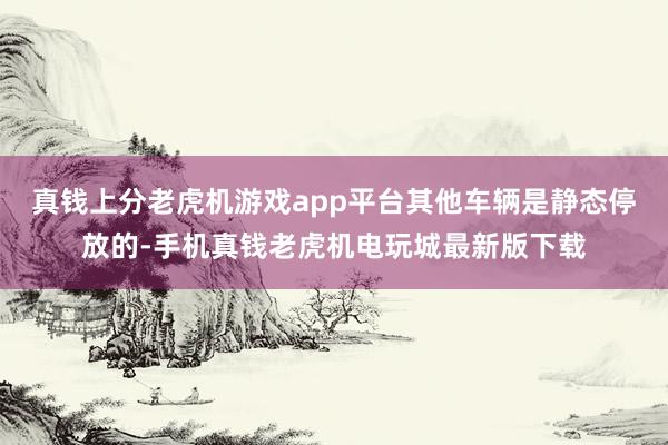 真钱上分老虎机游戏app平台其他车辆是静态停放的-手机真钱老虎机电玩城最新版下载