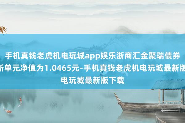 手机真钱老虎机电玩城app娱乐浙商汇金聚瑞债券A最新单元净值为1.0465元-手机真钱老虎机电玩城最新版下载