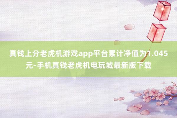 真钱上分老虎机游戏app平台累计净值为1.045元-手机真钱老虎机电玩城最新版下载