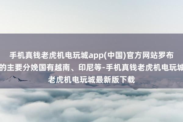 手机真钱老虎机电玩城app(中国)官方网站罗布斯塔咖啡豆的主要分娩国有越南、印尼等-手机真钱老虎机电玩城最新版下载