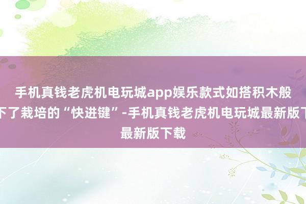 手机真钱老虎机电玩城app娱乐款式如搭积木般按下了栽培的“快进键”-手机真钱老虎机电玩城最新版下载