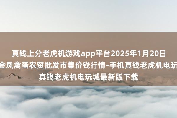 真钱上分老虎机游戏app平台2025年1月20日邯郸市(馆陶)金凤禽蛋农贸批发市集价钱行情-手机真钱老虎机电玩城最新版下载