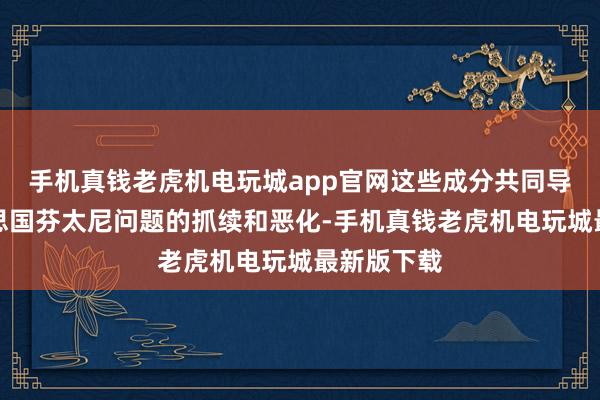 手机真钱老虎机电玩城app官网这些成分共同导致了好意思国芬太尼问题的抓续和恶化-手机真钱老虎机电玩城最新版下载